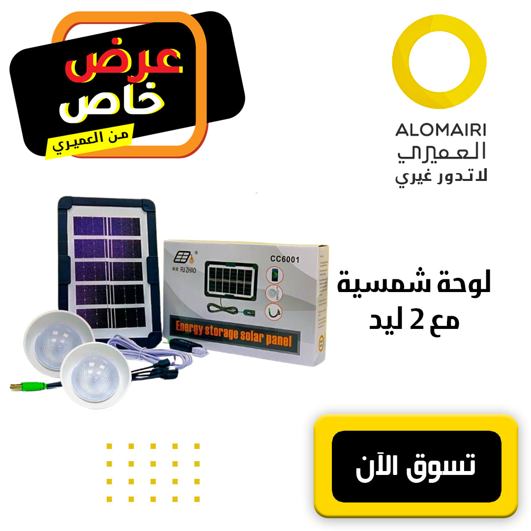 لوحة طاقة شمسية مع 2 ليد إضاءة قابلة للشحن بضمان سنة