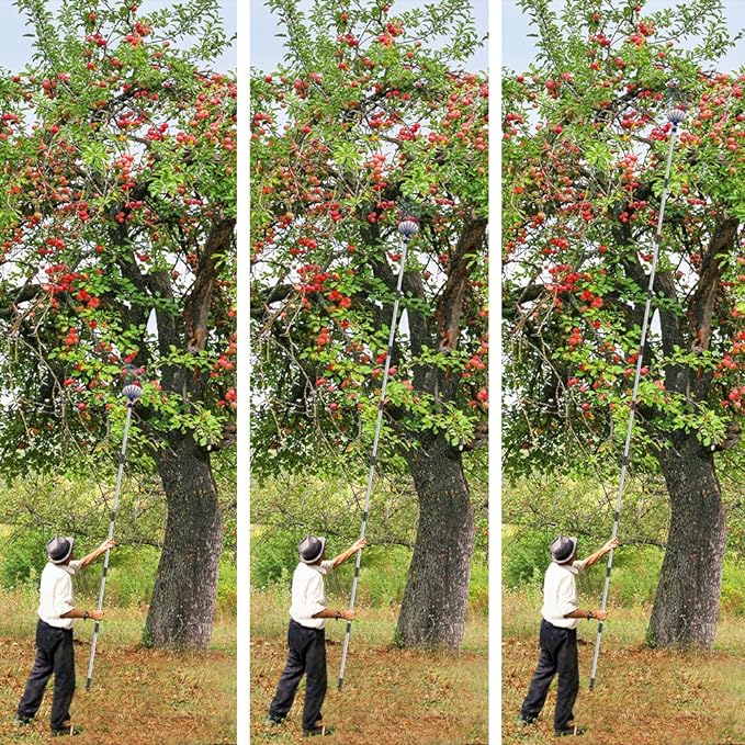 قطاف الثمار القوي بأطوال مختلفة