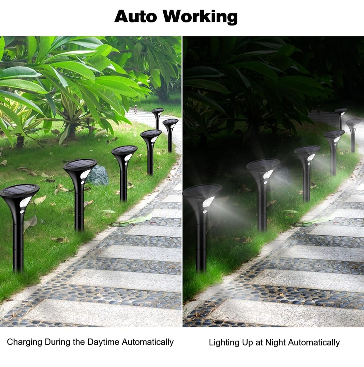 مصباح كينج لايت الشمسي الخارجي